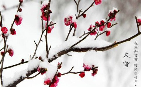 大雪已至，有冬要来，有雪如诗，耀先环境提醒您注意保暖