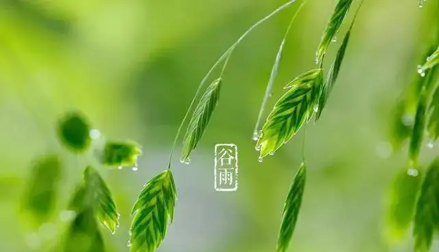 一场谷雨春将去，静等夏风送瘟神 ，耀先环境祝你每天身心愉悦