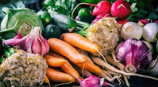 蔬菜通风降温方案