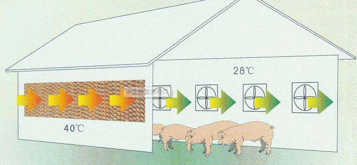猪舍通风降温方案